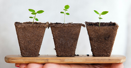 お客様目線でお客様に寄り添ったご提案をします